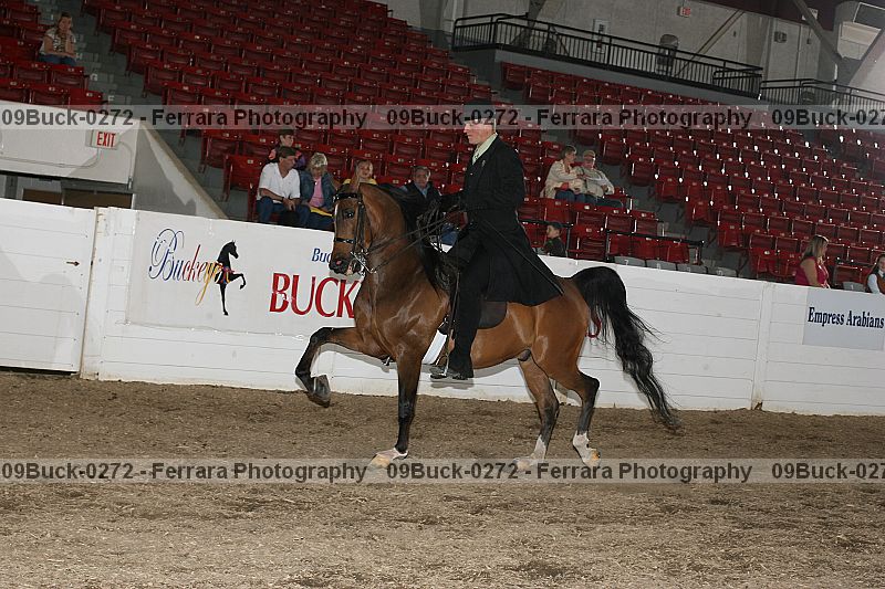 Proof Number 09buck-0272