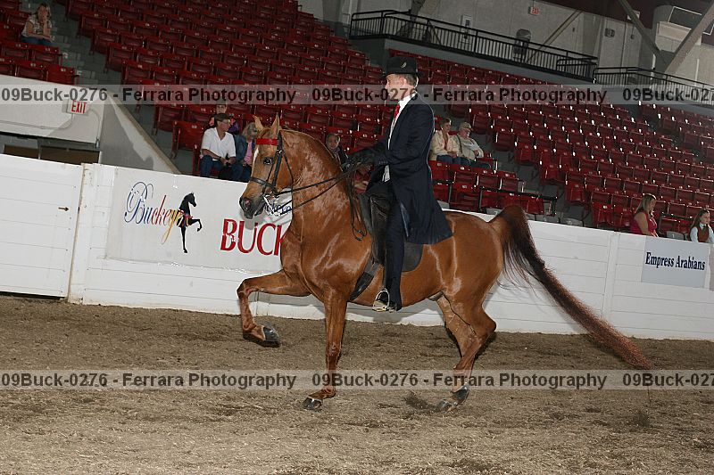 Proof Number 09buck-0276