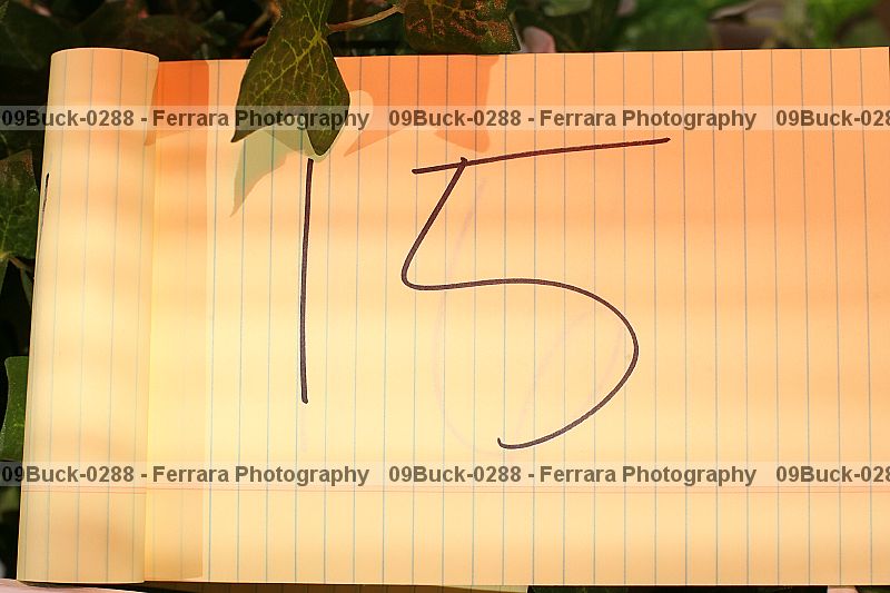 Proof Number 09buck-0288