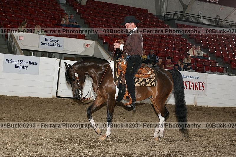 Proof Number 09buck-0293