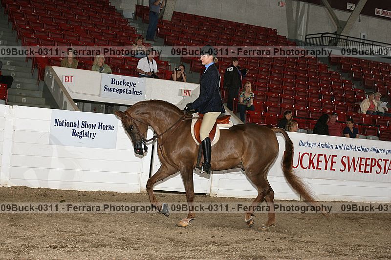 Proof Number 09buck-0311