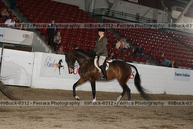 Proof Number 09buck-0312