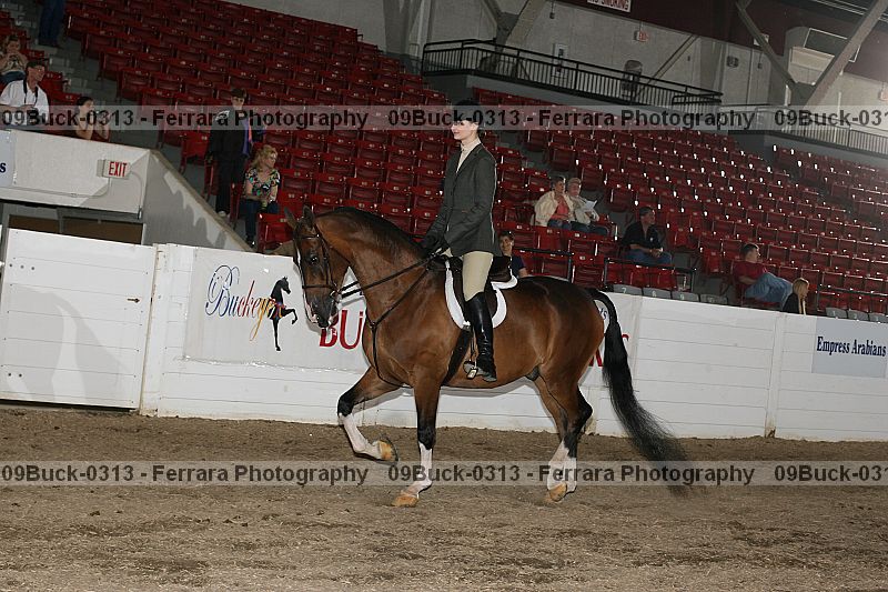 Proof Number 09buck-0313