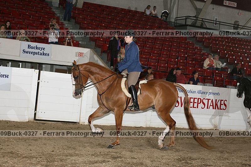 Proof Number 09buck-0327