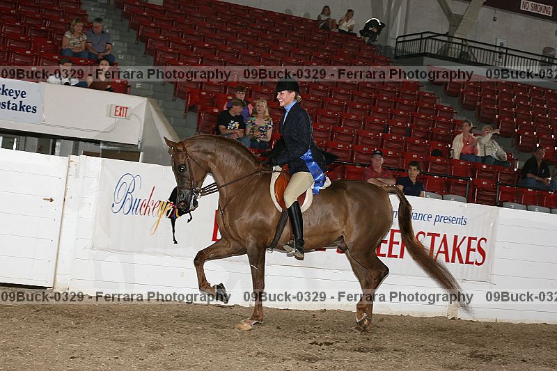 Proof Number 09buck-0329