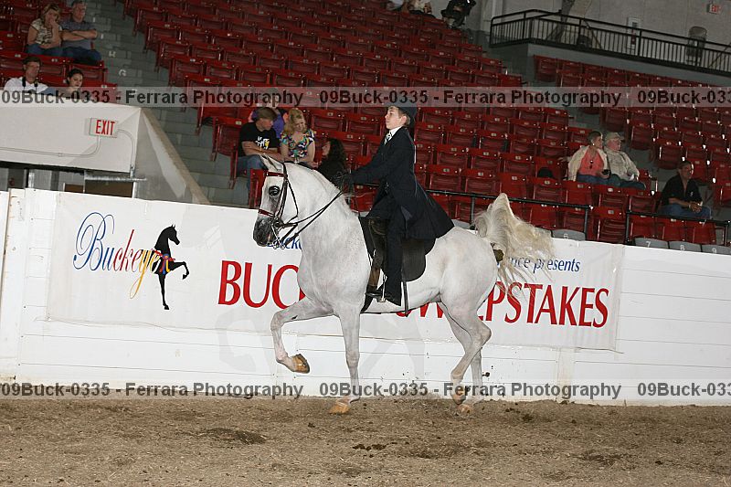 Proof Number 09buck-0335
