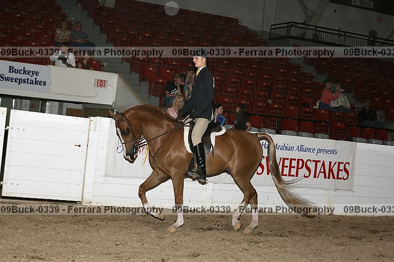 Proof Number 09buck-0339