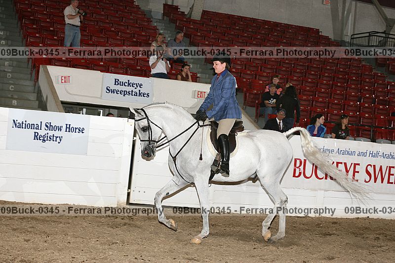 Proof Number 09buck-0345