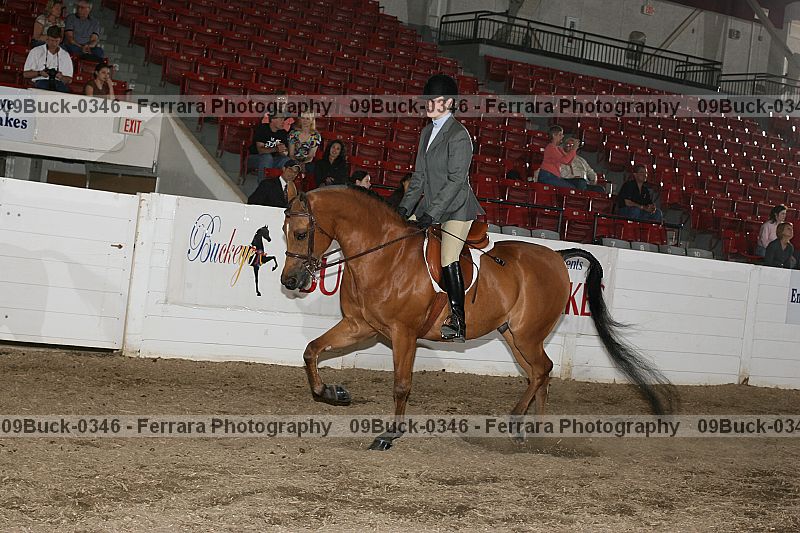 Proof Number 09buck-0346