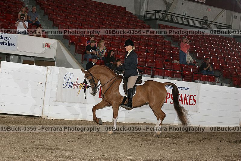 Proof Number 09buck-0356