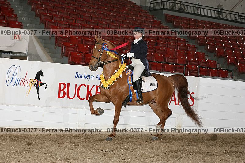 Proof Number 09buck-0377