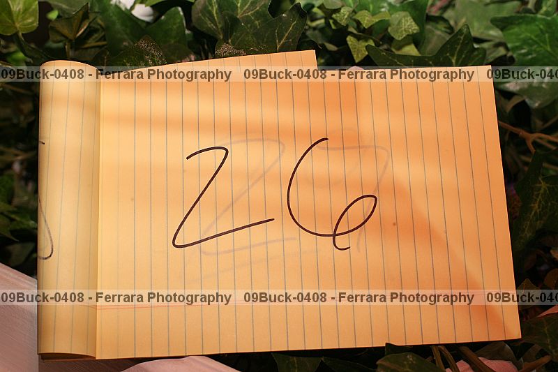Proof Number 09buck-0408