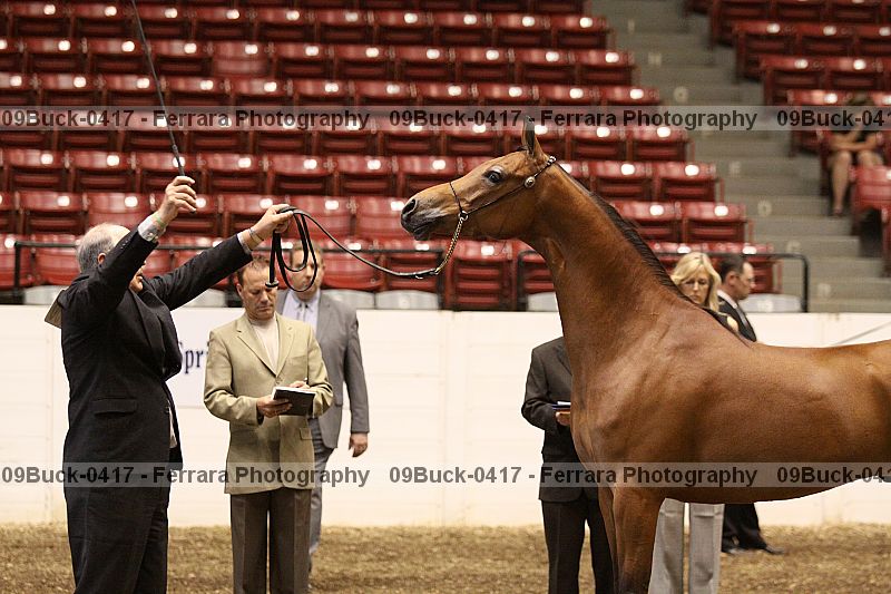 Proof Number 09buck-0417