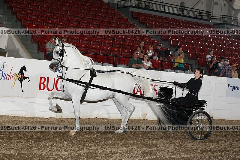 Proof Number 09buck-0426