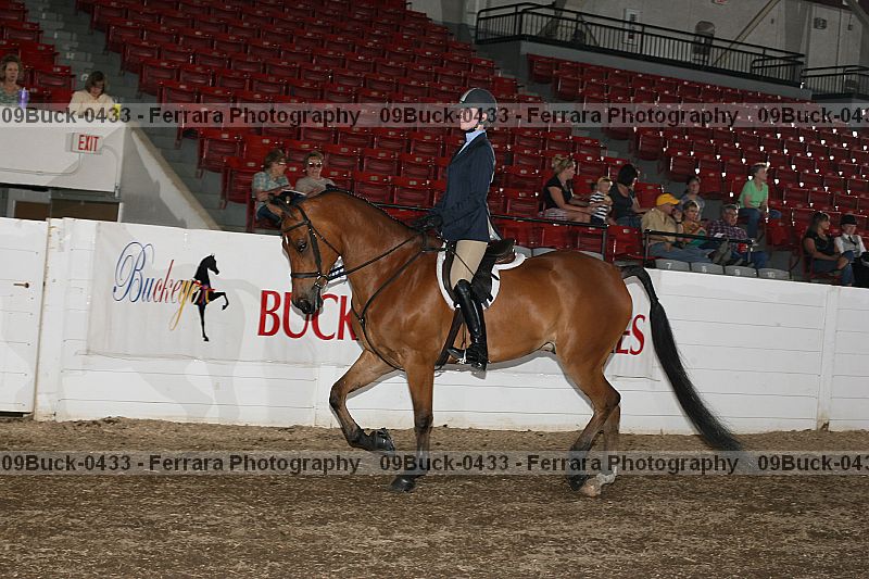 Proof Number 09buck-0433