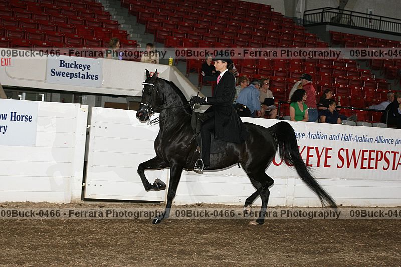 Proof Number 09buck-0466
