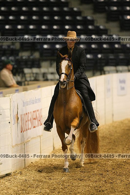 Proof Number 09buck-0485