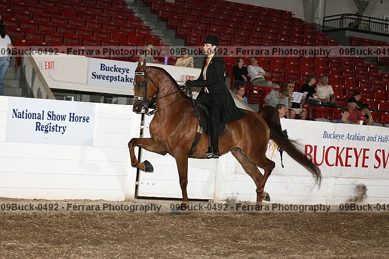 Proof Number 09buck-0492