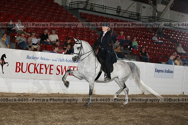 Proof Number 09buck-0495