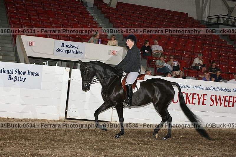 Proof Number 09buck-0534
