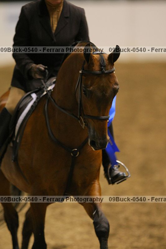 Proof Number 09buck-0540
