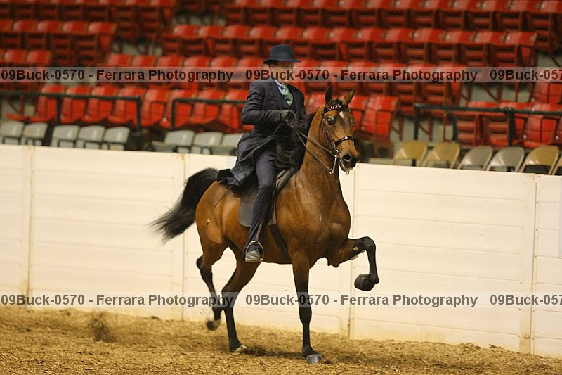 Proof Number 09buck-0570