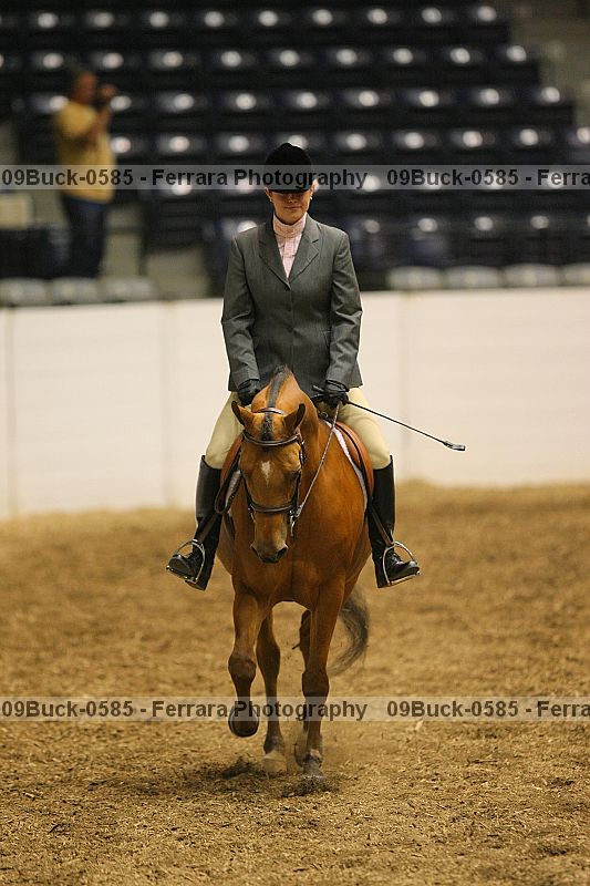 Proof Number 09buck-0585