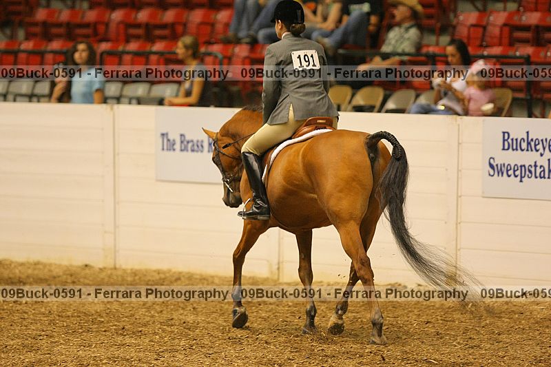 Proof Number 09buck-0591