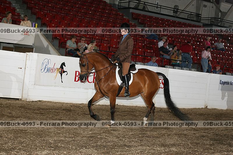Proof Number 09buck-0593