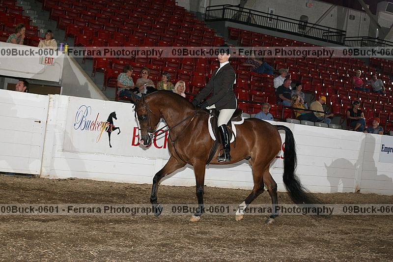 Proof Number 09buck-0601