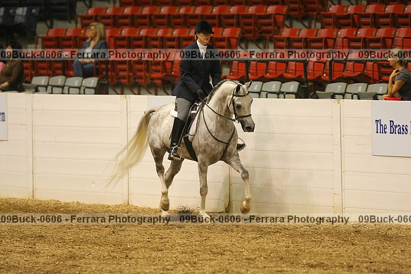 Proof Number 09buck-0606