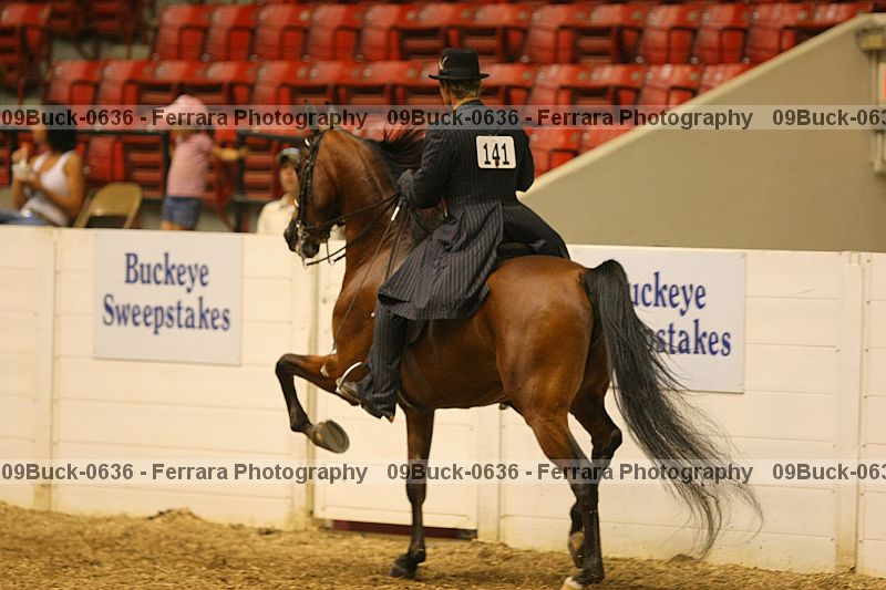 Proof Number 09buck-0636