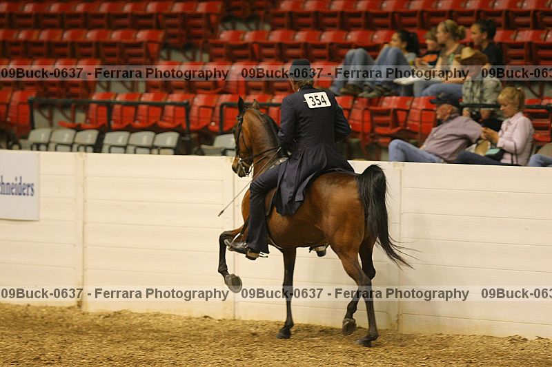 Proof Number 09buck-0637