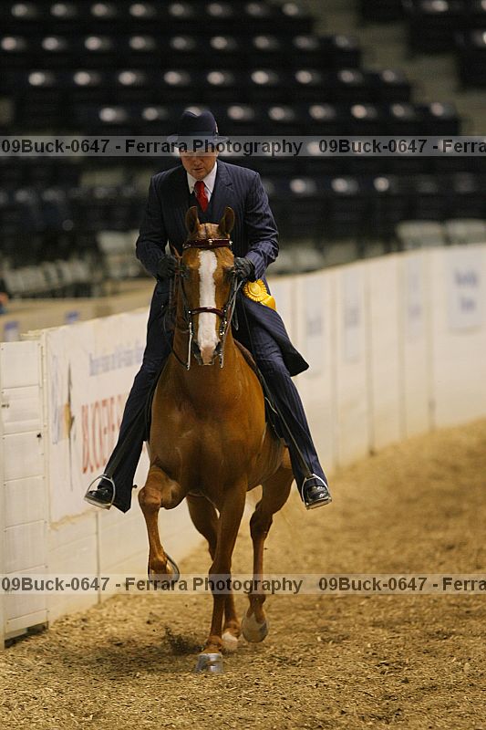Proof Number 09buck-0647