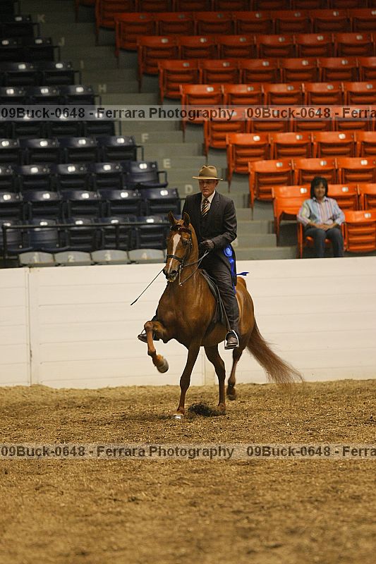 Proof Number 09buck-0648