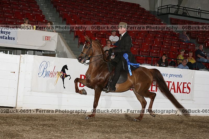 Proof Number 09buck-0651
