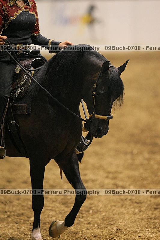 Proof Number 09buck-0708