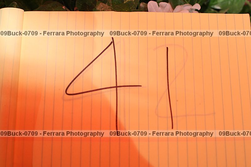 Proof Number 09buck-0709