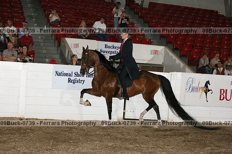 Proof Number 09buck-0739