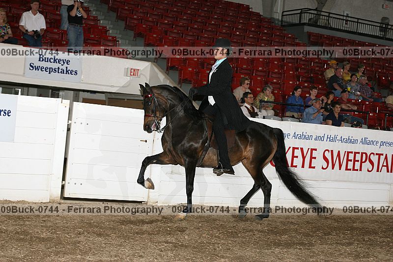 Proof Number 09buck-0744