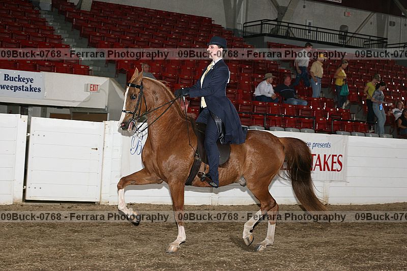 Proof Number 09buck-0768