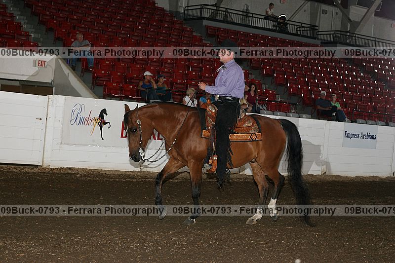 Proof Number 09buck-0793
