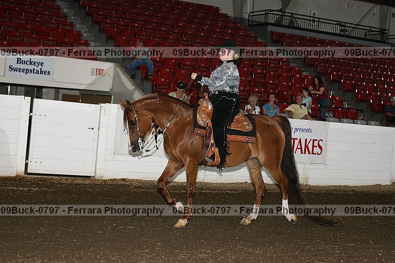 Proof Number 09buck-0797
