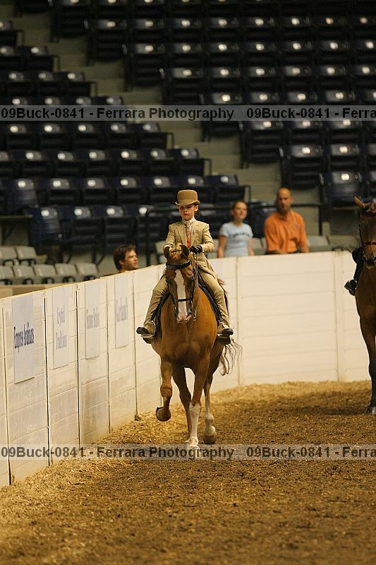 Proof Number 09buck-0841