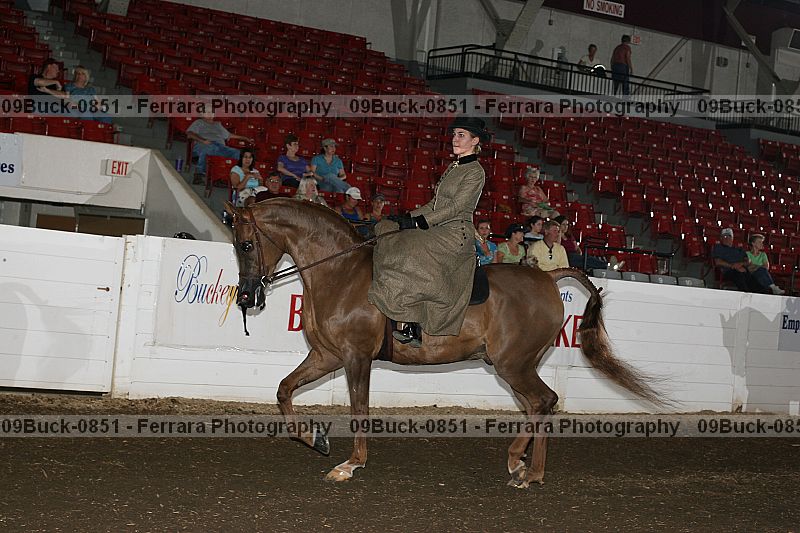 Proof Number 09buck-0851