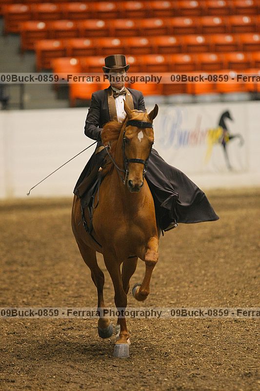 Proof Number 09buck-0859