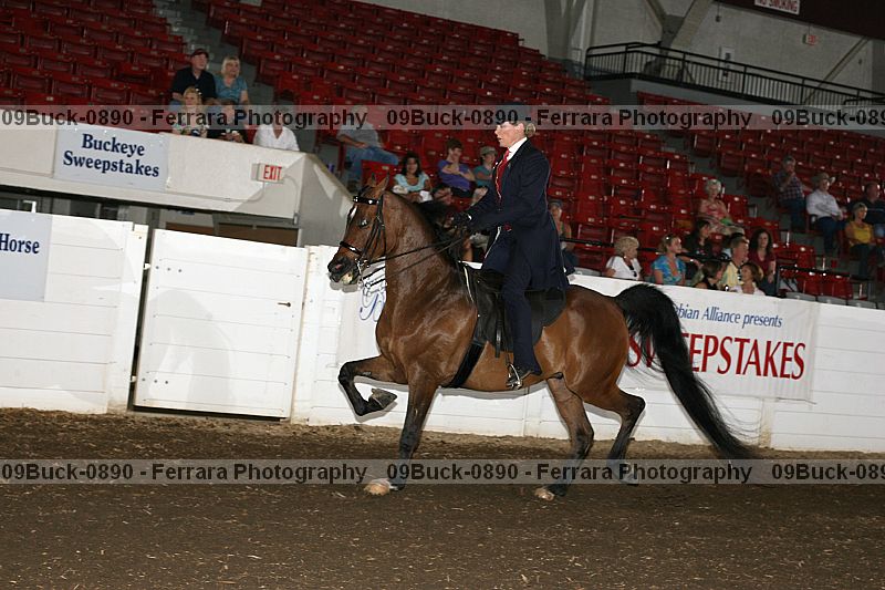 Proof Number 09buck-0890