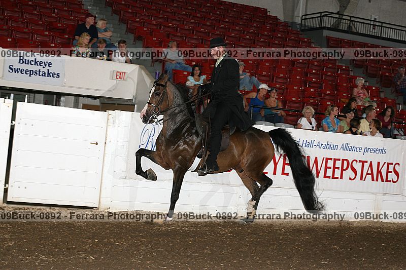 Proof Number 09buck-0892
