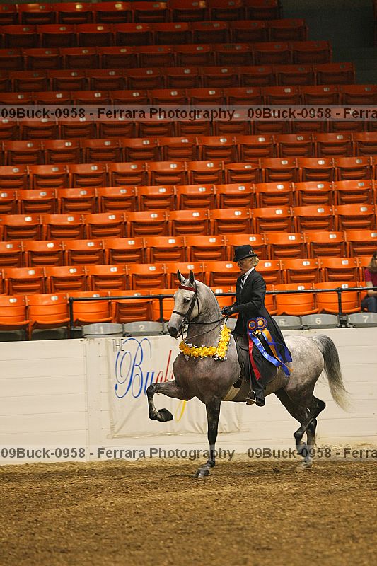 Proof Number 09buck-0958