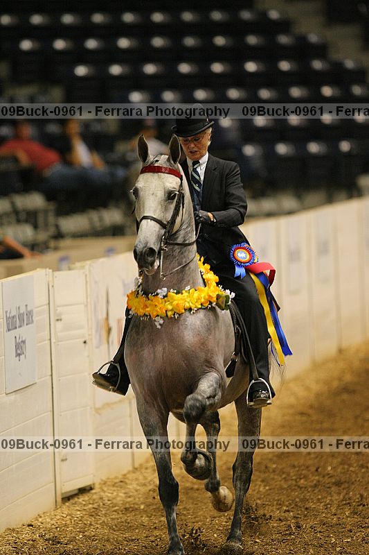 Proof Number 09buck-0961